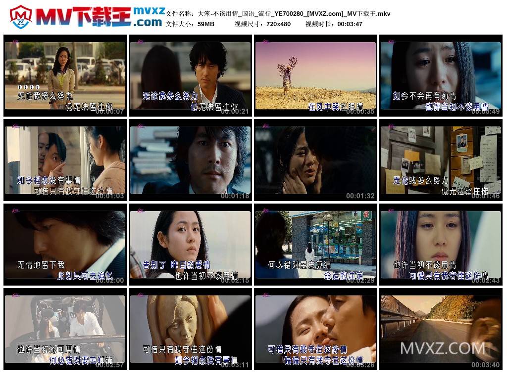 大笨-不该用情_国语_流行_YE700280